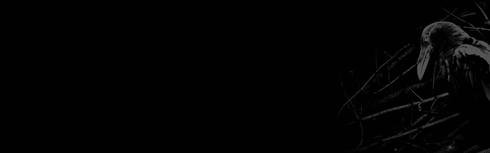 &nbsp;